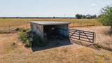 1439 Dagg Road - Photo 42