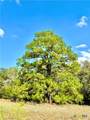 TBD Rabel Road - Photo 2