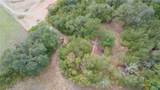 497 County Road 329 - Photo 16