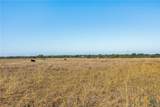 15350 San Marcos Highway - Photo 12