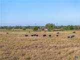 15350 San Marcos Highway - Photo 33