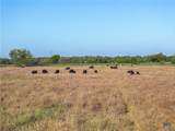 15350 San Marcos Highway - Photo 8