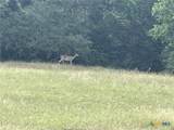 TBD Donahoe Road - Photo 25