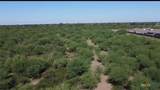 645 Paco Road - Photo 4