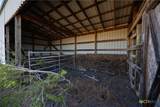 6868 Pfeil Road - Photo 13
