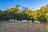1100 Thompson Ranch Road - Photo 10