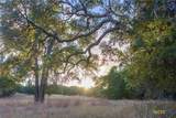 1100 Thompson Ranch Road - Photo 5