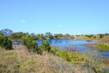 TBD-61.63 Acres County Road 414 - Photo 17