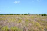 TBD-61.63 Acres County Road 414 - Photo 19