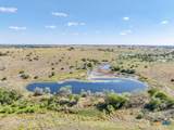 TBD-61.63 Acres County Road 414 - Photo 2