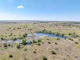 TBD-61.63 Acres County Road 414 - Photo 21