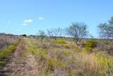 TBD-61.63 Acres County Road 414 - Photo 24