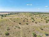 TBD-61.63 Acres County Road 414 - Photo 25