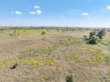 TBD-61.63 Acres County Road 414 - Photo 31