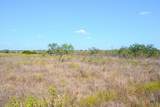 TBD-61.63 Acres County Road 414 - Photo 33
