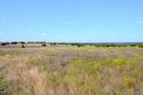 TBD-61.63 Acres County Road 414 - Photo 34