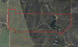 TBD-61.63 Acres County Road 414 - Photo 40