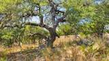Tract 2 of 5818 Ranch Road 165 - Photo 11