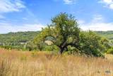 Tract 2 of 5818 Ranch Road 165 - Photo 24