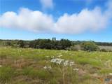 TBD-482 Acres W Fm 217 - Photo 20