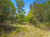 TBD-482 Acres W Fm 217 - Photo 36