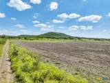 TBD-482 Acres W Fm 217 - Photo 40