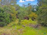 TBD-482 Acres W Fm 217 - Photo 7