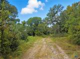 TBD-482 Acres W Fm 217 - Photo 9