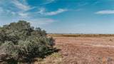 5509 Fm 444 N - Photo 4