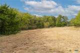 TBD Horseshoe Bend Road - Photo 10