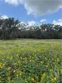 2135 Mule Creek Road - Photo 35