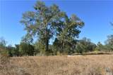 TBD County Road 481 - Photo 3