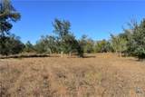 TBD County Road 481 - Photo 9