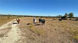 4060 County Road 3270 - Photo 7