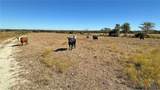 4060 County Road 3270 - Photo 8