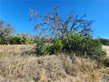 Lot 73 Shin Oak Drive - Photo 14