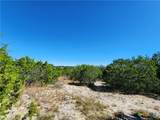 Lot 74 Bluff View Road - Photo 12