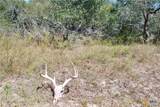 3033 County Road 18 - Photo 36