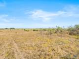 TBD-82.6 Acres Farm Market 221 - Photo 28