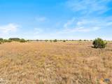 TBD-82.6 Acres Farm Market 221 - Photo 33