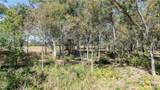204 Little Branch Lane - Photo 18