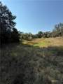 0 County Road 14/Pvt 1066 Tx - Photo 2
