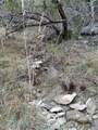 0 County Road 2773 - Photo 15