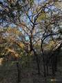 0 County Road 2773 - Photo 8