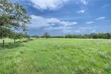 4771 County Road 228 - Photo 6