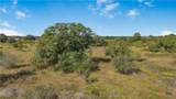 1733 County Road 284 - Photo 13