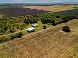 2371 County Road 275 - Photo 35