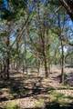 34720 Ansley Ridge Trail - Photo 7