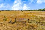 TBD 50 Acres Pfullman Road - Photo 12