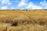 TBD 50 Acres Pfullman Road - Photo 13